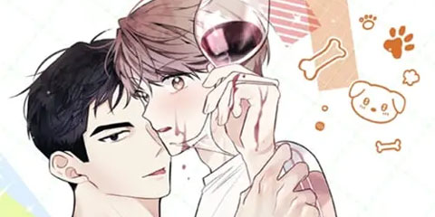 쓰레기 컬렉터