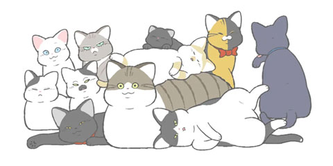 고로애옳